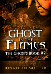 Ghost in Flames cover Book